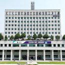 초록나무유치원 이미지