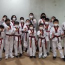 경희대세계로태권도 이미지