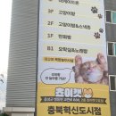 청주고양이카페아이캣유 | 청주 고양이카페 쵸이캣 방문후기