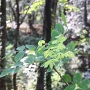 물과숲민박 이미지