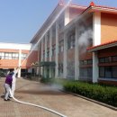 제철남초등학교 이미지