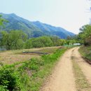 위례사랑길 이미지