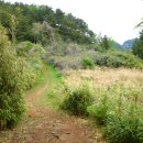 해금강주차장 이미지