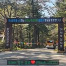 평창군립진부도서관 이미지