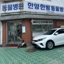 이윤권한방동물병원 | 한양한방동물병원 강아지 침치료 후기 여름휴가 주차정보