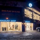 엔젤펫애견샵 이미지
