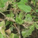 순환농장 이미지