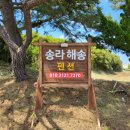 송라해송펜션 이미지