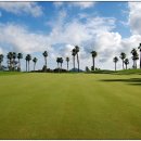 테디벨리골프장 4 이미지