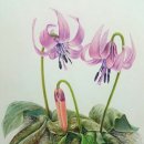 연수청학도서관 이미지