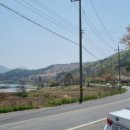 코코블리 애견운동장 이미지