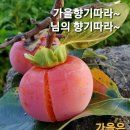 "'水山會' 38회 '하늘공원' 서울억새축제길 산책"＜2023.10.18(수)＞ 이미지