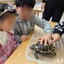 내리초등학교 이미지