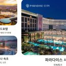 더케이몰 티스토리