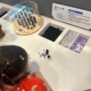 다다 태양광 이미지