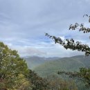 이슬농장 | 울산 영남알프스 간월재 억새 군락지 최단 코스 사슴농장