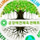 용인대 드림합기도 이미지