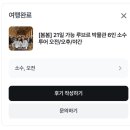 소수박물관 | 파리 루브르박물관 6인 소수 봄봄투어 후기 | 마이리얼트립 예약 내돈내산