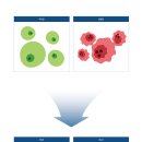 DS바이오텍 이미지