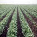 현대자원 이미지