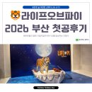 드림씨어터 | 2026 Life of Pi 파이이야기 드림씨어터 부산 후기