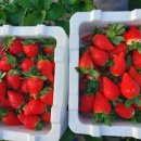 금음교차로 이미지