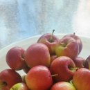 복주농장 이미지