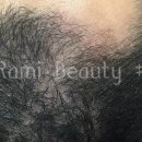 라미헤어 이미지