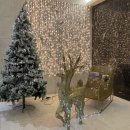 포스피탈 림 산후조리원 이미지