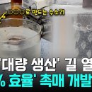 [Pick 사이언스] ‘400조 원’ 수소 시장 노린다! 비싼 희토류 사용량 ‘확 줄인’ 고효율 촉매 이미지