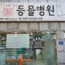 필립동물병원 이미지