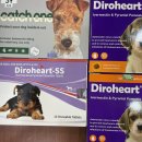 화곡서울약국 이미지