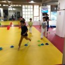 파이널 태권도 멀티짐 이미지