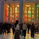 파밀리아 | 사그라다 파밀리아 내부 관람 후기, 예약 방법 + 바르셀로나 가우디 투어 팁