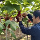 산내농협하나로마트
