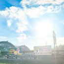 프라하어린이집 이미지