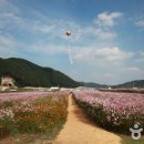 곤북로 네이버블로그