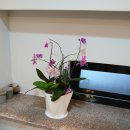 아로마힐링 이미지