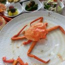 대게먹방 이미지