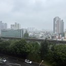 푸른마을의원 이미지