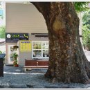 지산초등학교 정문 앞 이미지