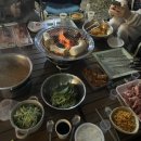 제비646