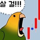 이디아아울렛 D.K유통 | 괌 여행 필수 쇼핑 및 선물 추천 리스트(feat. 24주 임산부 태교여행)