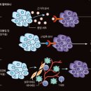 2017.06.24 :13회차 (대표값과 산포도 심화+암은 랜덤이다) 이미지