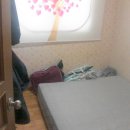 신월동174 이미지