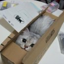 등등등