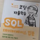 [HD] SQL개발자 (SQLD) 자격증 따기 Part.2-1 데이터 모델링의 이해 | 비전공자 직장인의 SQLD 자격증 독학 합격 후기