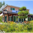 맛집막국수 이미지