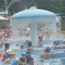 어린이대공원수영장 이미지