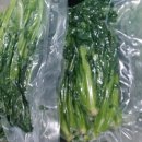 가장농장 이미지